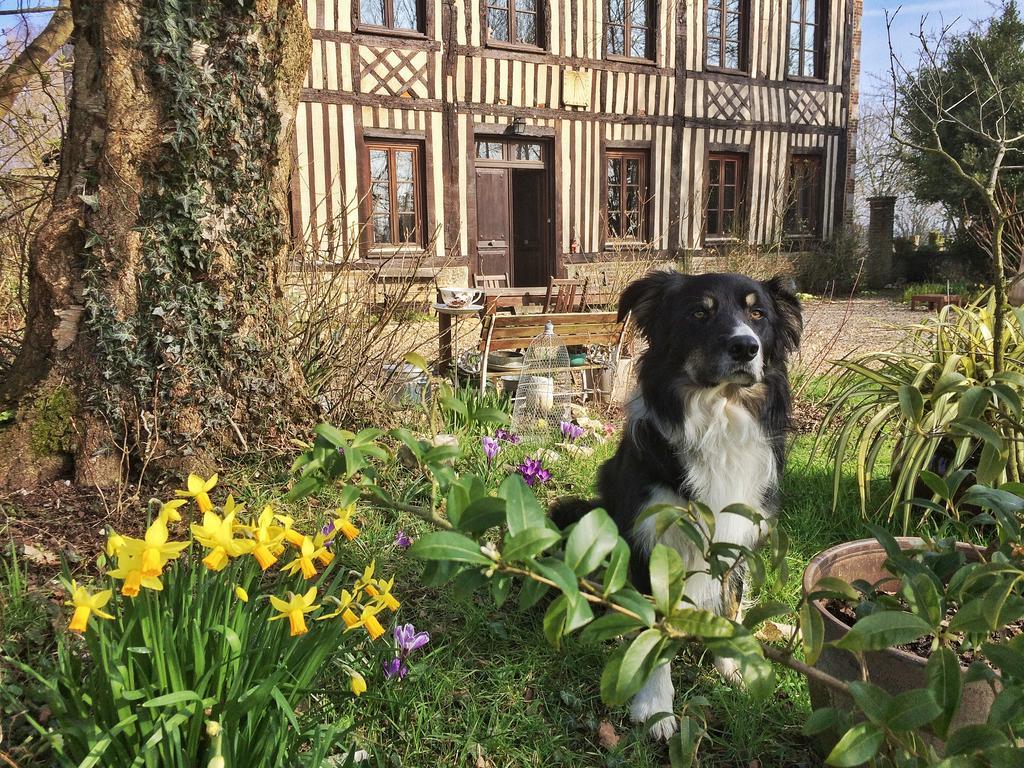 Bed and Breakfast Le Petit Manoir De La Vernelle Fourmetot Exterior foto
